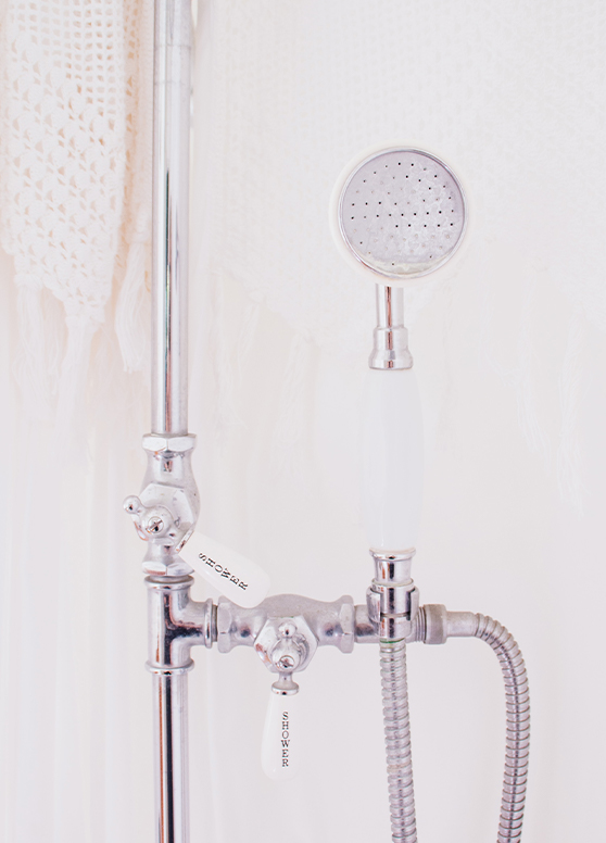 shower controls and shower head