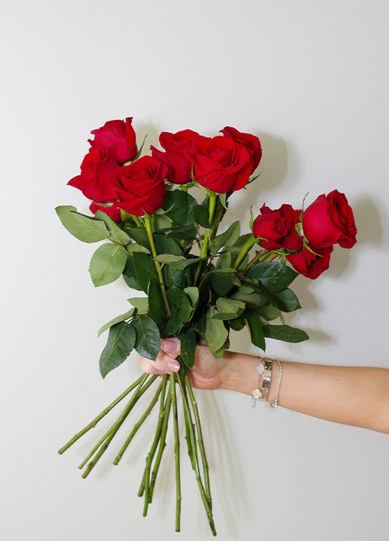 valentines day roses being held in a hand